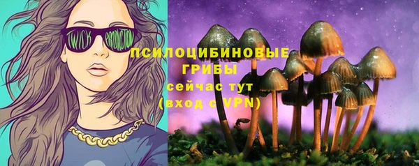 гашик Баксан
