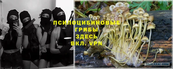 гашик Баксан