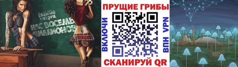 Галлюциногенные грибы ЛСД  Давлеканово 